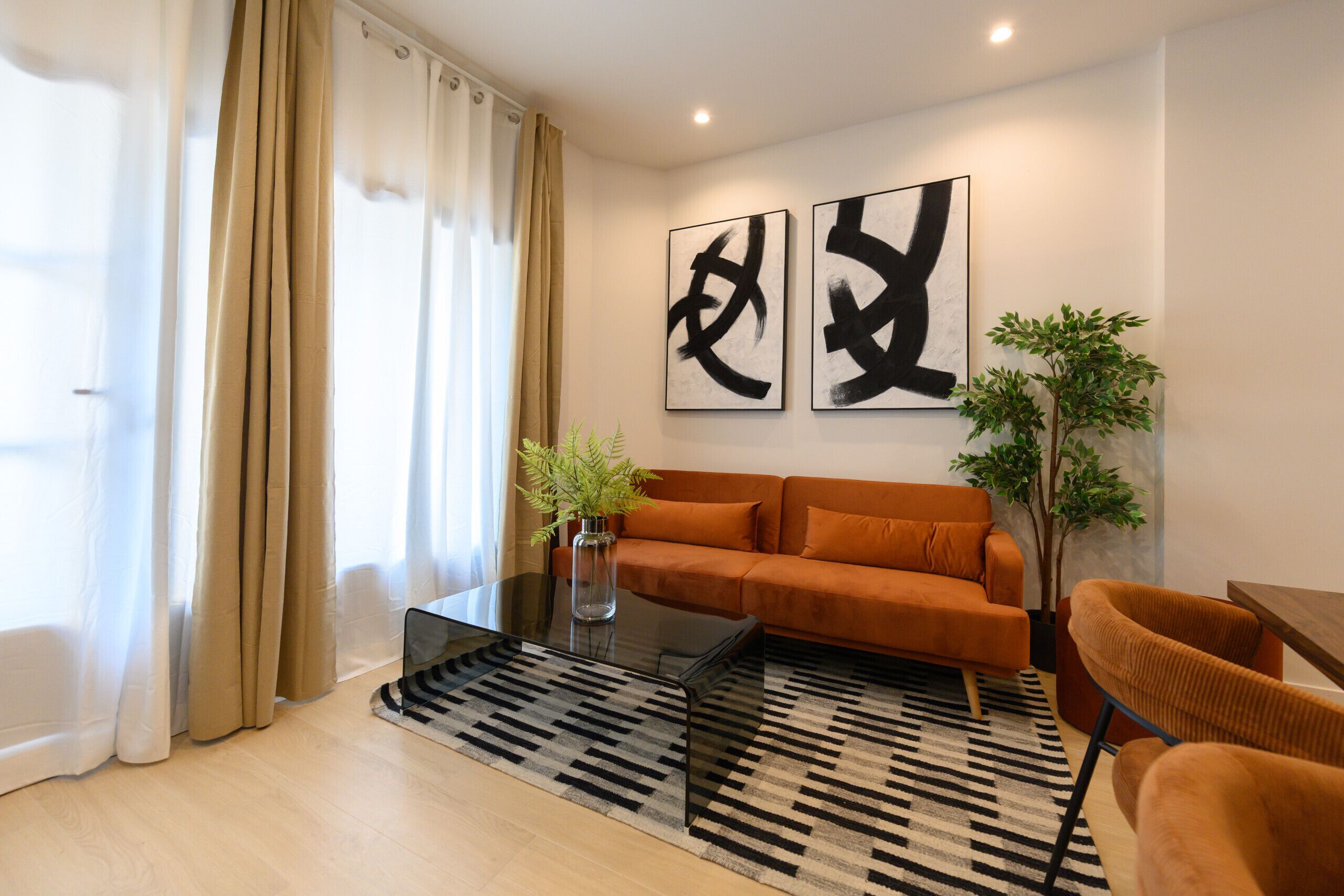 A modern living room with a sofa, a coffee table, and a plant.