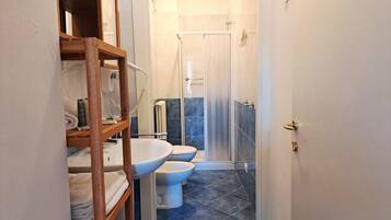 Shower, hair dryer, bidet, towels