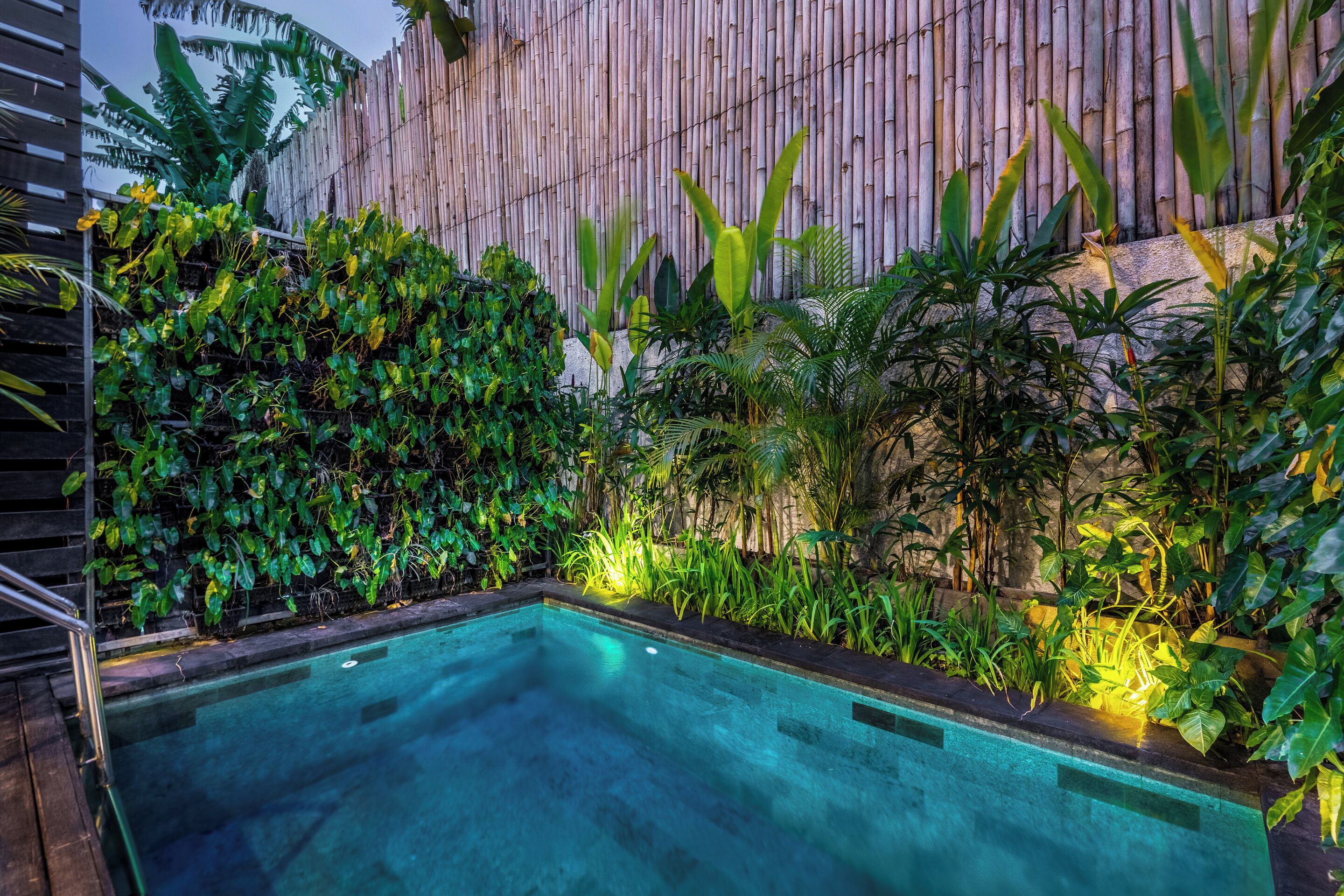 A swimming pool surrounded by lush greenery and a bamboo fence.