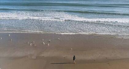 Dream Beach Loft - Epic Views & Window-Balconies