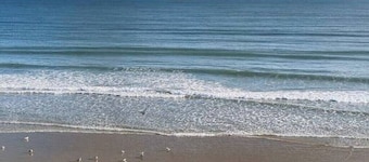 Dream Beach Loft - Epic Views & Window-Balconies