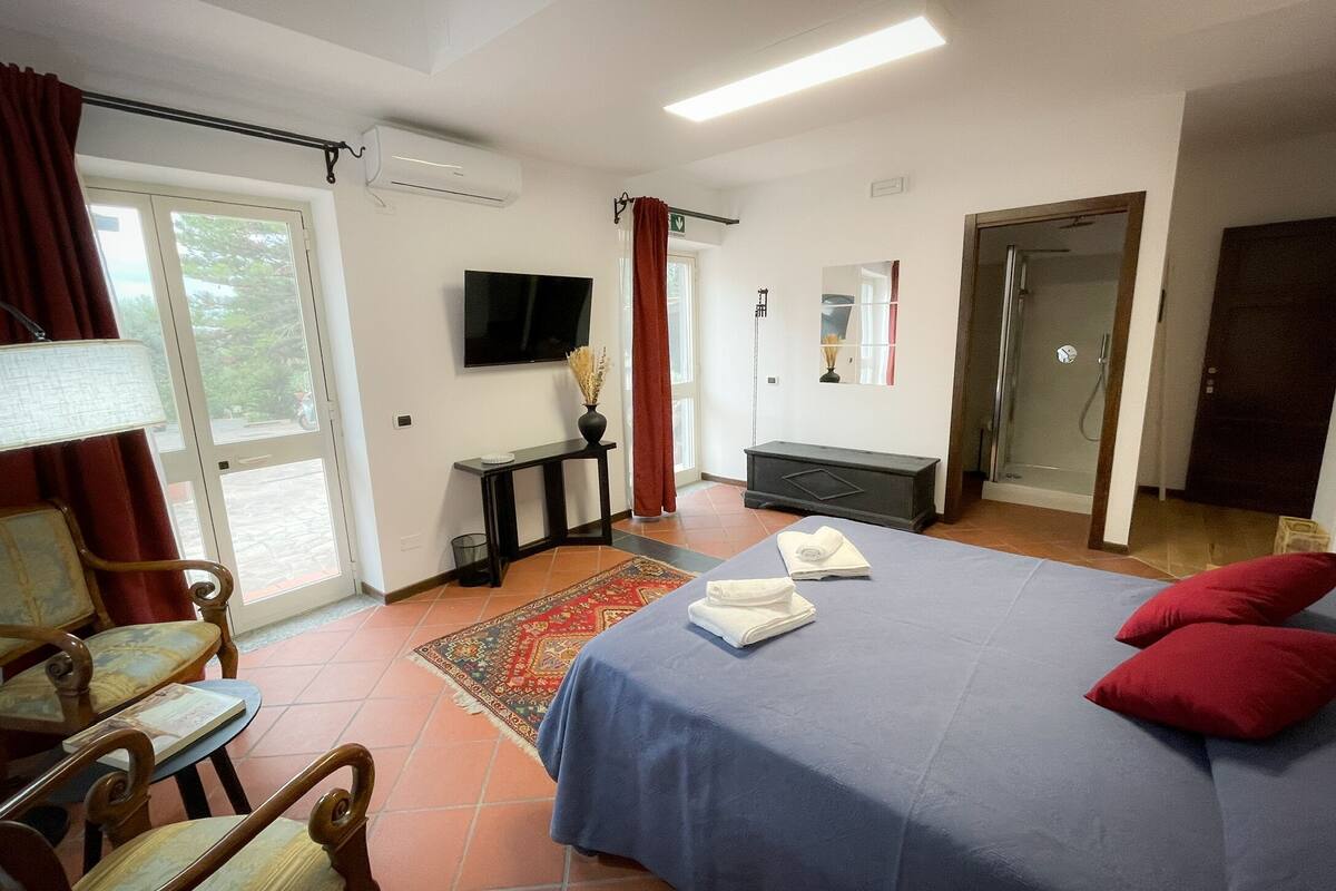 Une chambre d’hôtel avec un lit, une télévision, un bureau, une chaise, une douche et une porte.
