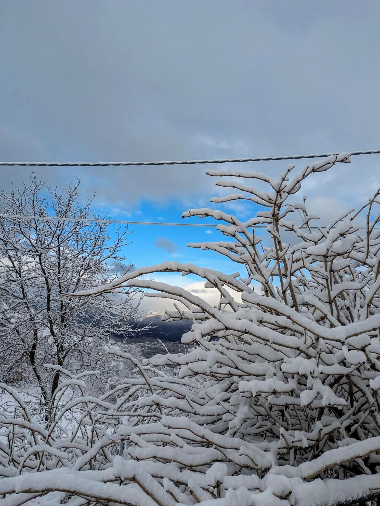 Un paysage enneigé, avec des arbres sans feuilles et un ciel dégagé.