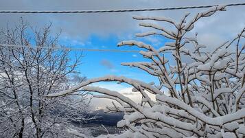 Un paysage enneigé, avec des arbres sans feuilles et un ciel dégagé.