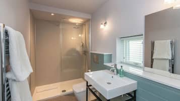 Shower, hair dryer