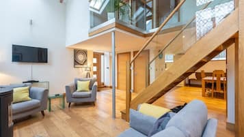 TV connectée, cheminée, lecteur de DVD, livres