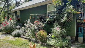 A green house with a garden in front, a chicken, and a sign that says "Fresh Cut Flowers". - Kettlestone (Stanton)