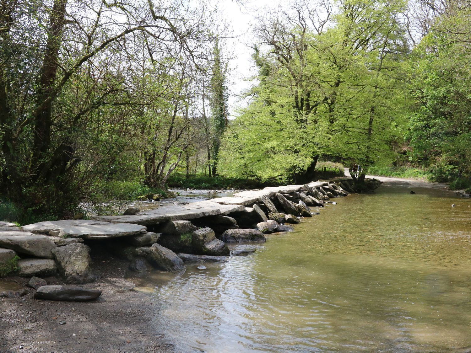Eine natürliche Landschaft mit einem Bach, Felsen und Bäumen.