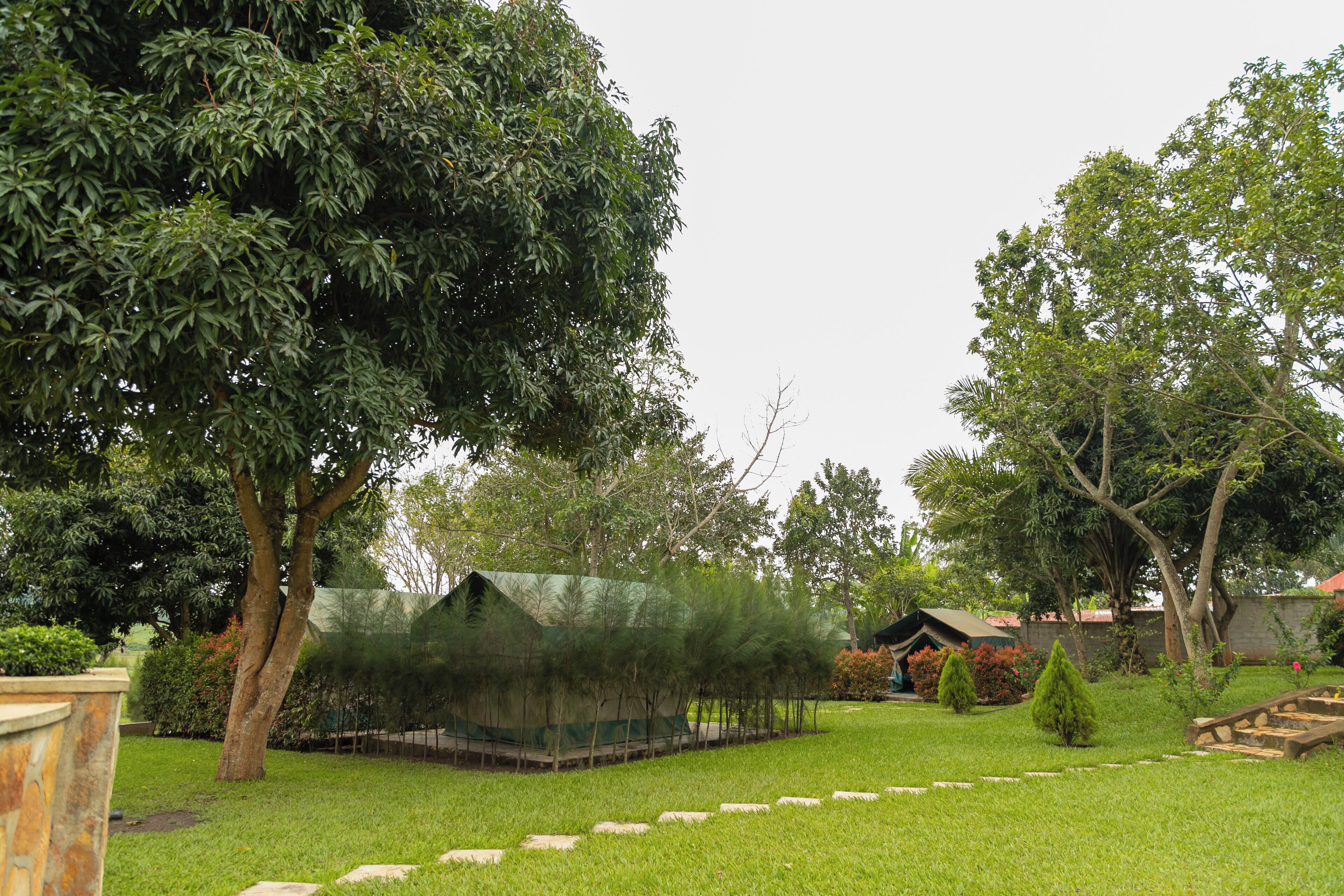 A well-maintained garden with a variety of trees, a small pond, and a gazebo.