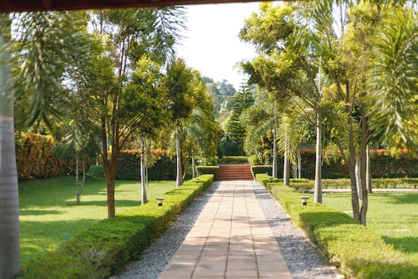 Interior entrance - Extreme Adventure Park (Busika)
