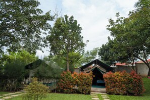 A campsite with tents, surrounded by lush greenery and trees.