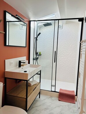 Shower, hair dryer, towels, soap - Family duplex under the roof *La Maison du Lac (Les Salles-sur-Verdon)