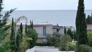 A residential area with a paved driveway leading to a modern house with a view of the sea.