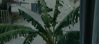 Stay By Ilvesta Olea