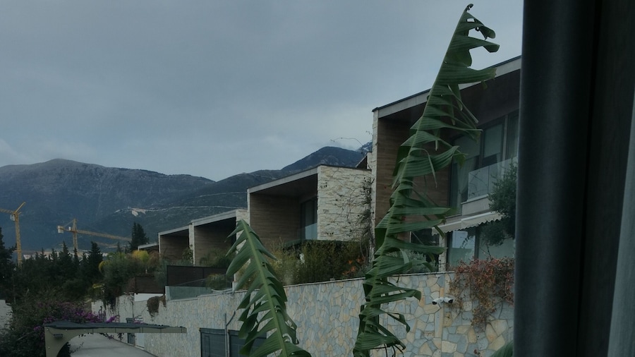 Stay By Ilvesta Olea