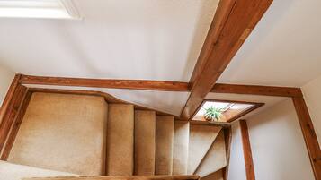 A wooden staircase with a skylight and a potted plant.