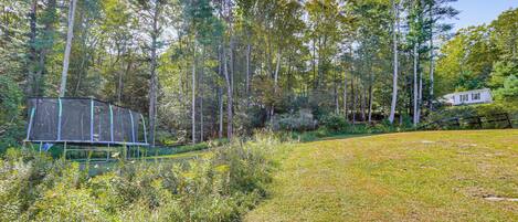 A grassy area with a green structure, surrounded by tall trees and a white building in the background.