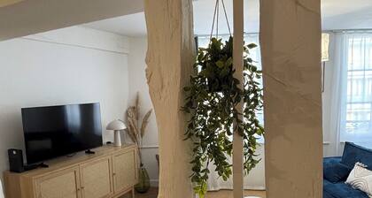 Appartement hyper centre pour la famille ou pour le travail