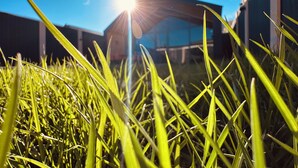 A close-up of green grass with sunlight in the background. - Hg Barn House Gabala (Gabala)
