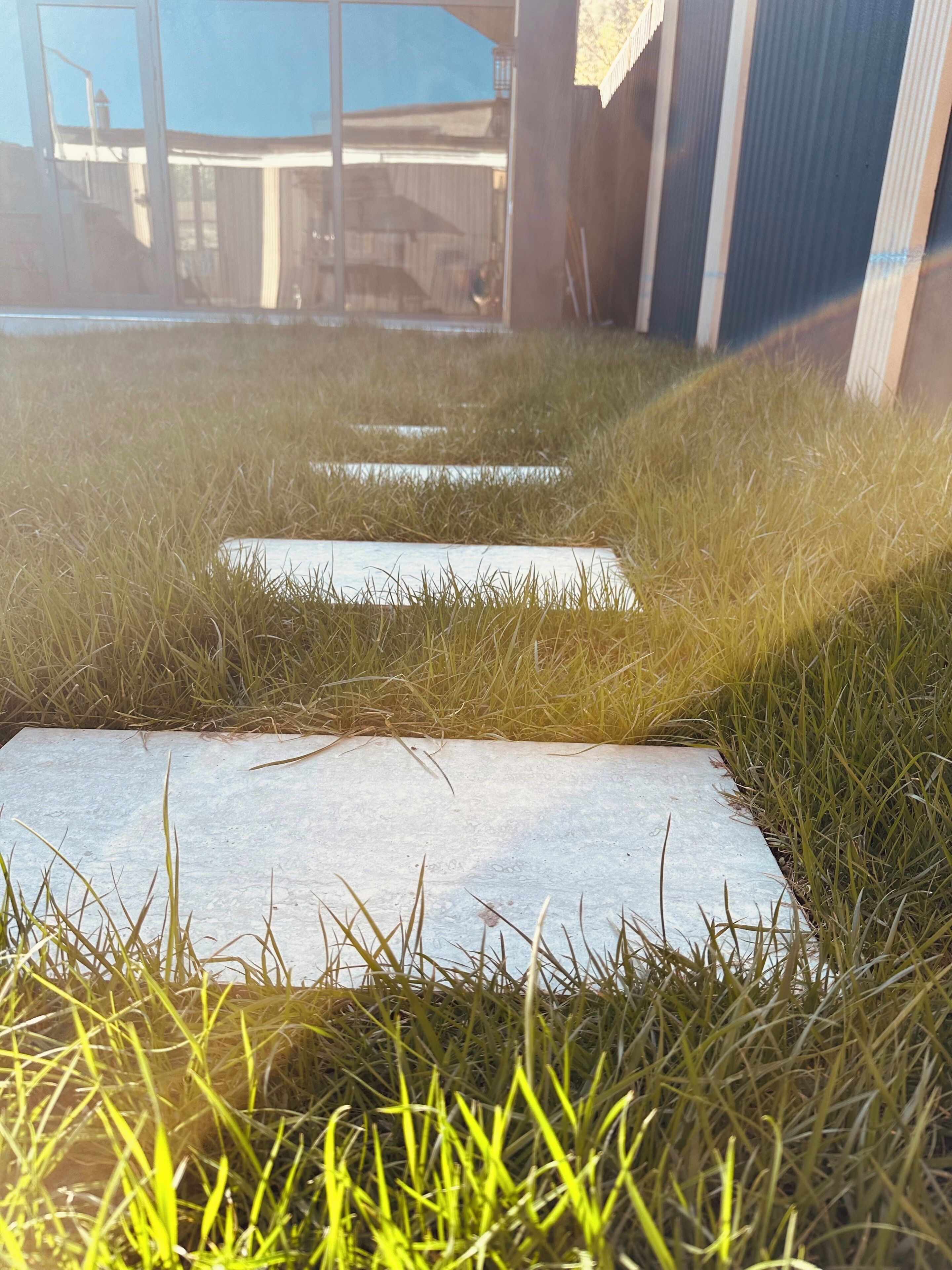 A concrete pathway leading to a building with a glass facade.