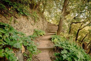 A stone staircase surrounded by lush greenery, leading up a hillside. - Fiordarancio is the guest house you were looking for, located in a fantastic position right above the beaches of Fegina. The room offers you a private outdoor space, double bed, private bathroom and air conditioning. It is also possible to book room 102  (Monterosso)