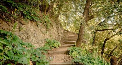 Fiordarancio is the guest house you were looking for, located in a fantastic position right above the beaches of Fegina. The room offers you a private outdoor space, double bed, private bathroom and air conditioning. It is also possible to book room 101