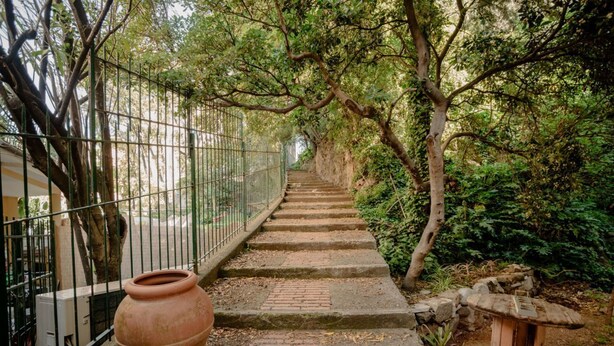 Un sendero con escalones atraviesa un jardín, bordeado por una cerca de metal y rodeado de árboles y vegetación.