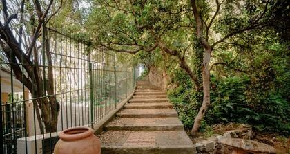 Fiordarancio is the guest house you were looking for, located in a fantastic position right above the beaches of Fegina. The room offers you an external space in front of the entrance of the structure, double bed, private bathroom and air conditioning. I