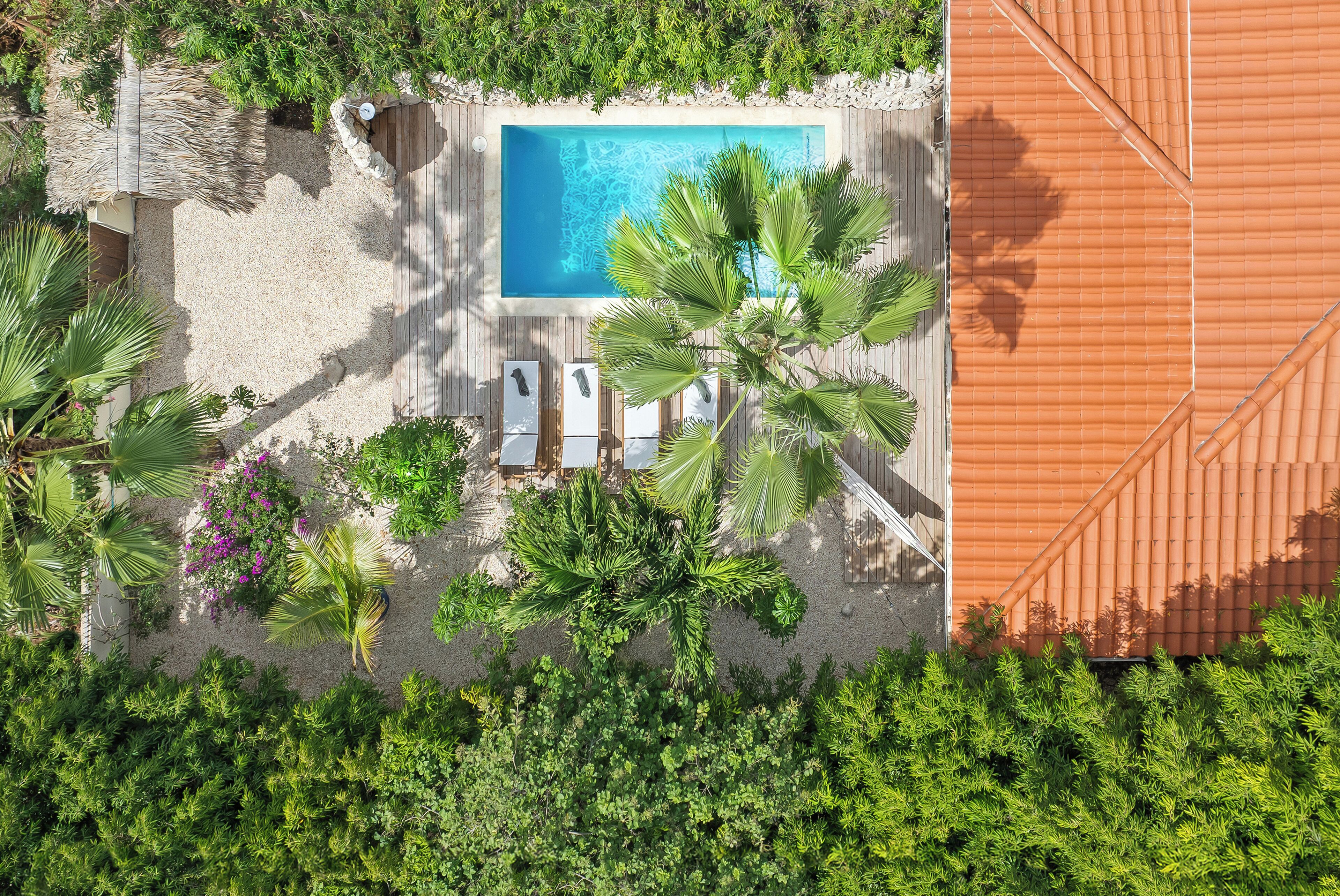 Eine Luftaufnahme eines Resorts mit einem Swimmingpool, umgeben von Palmen und einer Holzterrasse.