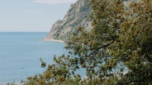 A coastal landscape with a clear view of the sea and a rocky cliff. - Fiordarancio is the guest house you were looking for, located in a fantastic position right above the beaches of Fegina. The room offers you a sea view balcony, double bed, private bathroom and air conditioning.PLEASE remember that in order to find yours (Monterosso)