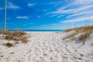Ein Weg durch Sanddünen am Strand mit vereinzelter Vegetation.