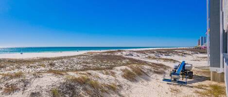 A beach with a dune system, a clear blue sky, and a distant pier.
