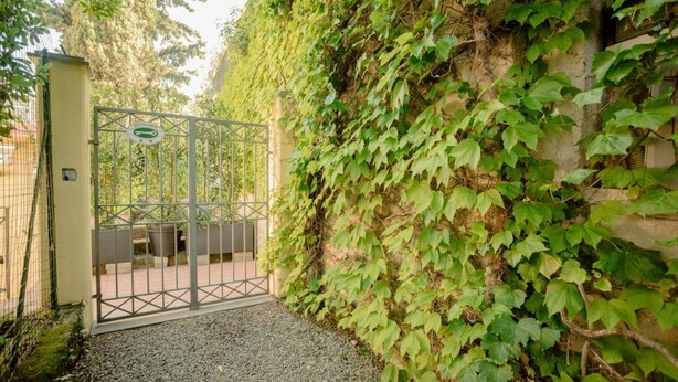 Ein verschlossenes Tor mit einem Metallgitter, ein Kiesweg und eine mit Grünspan bewachsene Mauer.