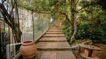 Parco della struttura