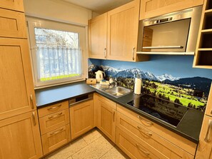 Kühlschrank, Mikrowelle, Herdplatte, Geschirrspüler