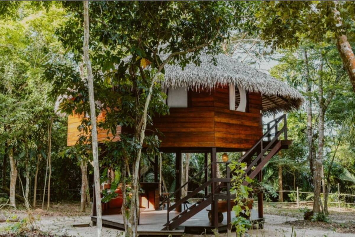A wooden treehouse with a thatched roof, surrounded by dense foliage.