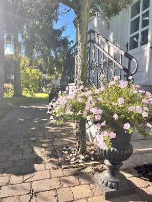 Detall de l'exterior