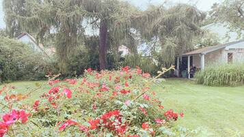 Un jardín con flores rojas y un edificio pequeño al fondo.