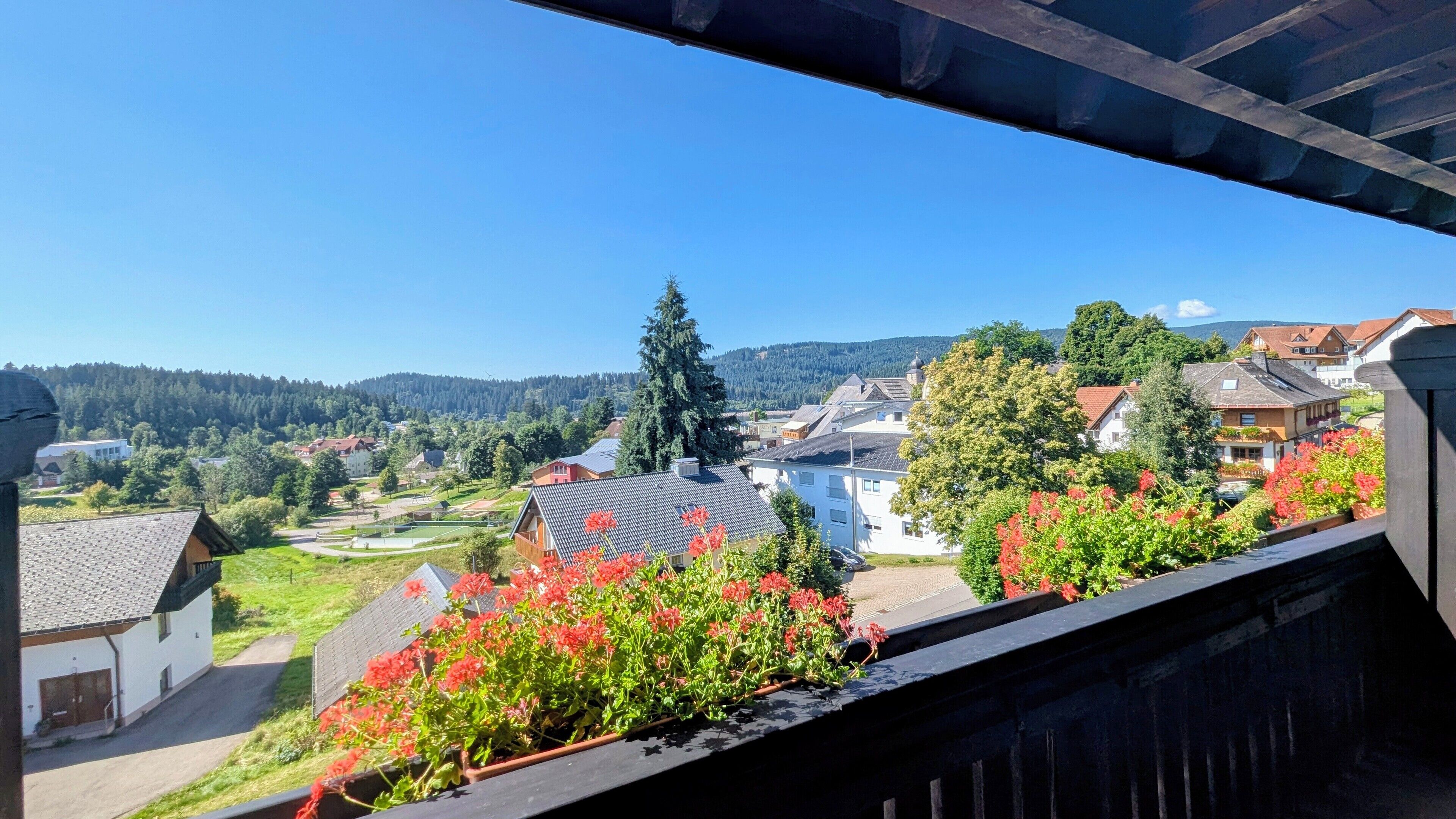 Ein Wohngebiet mit Häusern, einem großen Baum und blauem Himmel.