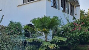 A white building with a flat roof and a balcony. There is a palm tree and various shrubs in the front yard.