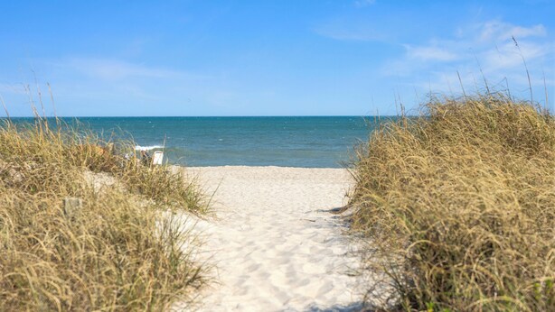 A sandy beach path leading to the sea, surrounded by tall grass. - Sea Colony #35B - Sunrise Balcony +  Community Pool (Carolina Beach)