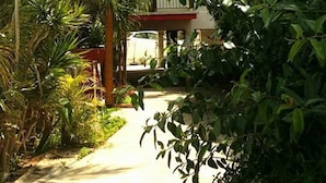 A narrow pathway flanked by dense tropical foliage leading to a building with a red and white facade. - G Papanicola Tourist Apartments (Ayia Napa)