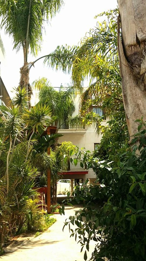 Property grounds - G Papanicola Tourist Apartments (Ayia Napa)