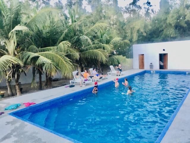 14 hồ bơi ngoài trời 