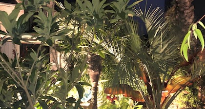 Das kleine Haus im Dschungel