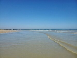 Uma praia com céu claro e águas calmas.
