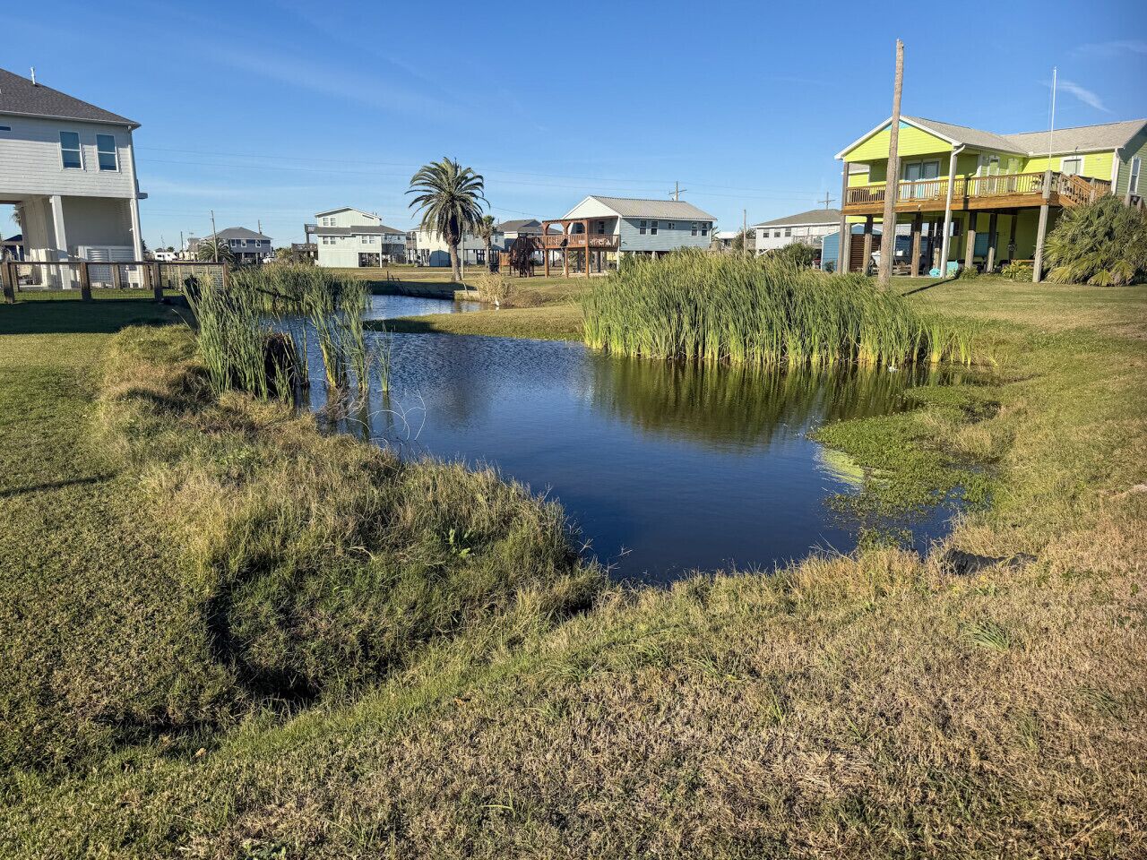 A residential area with a small pond, houses, and a beach in the background.