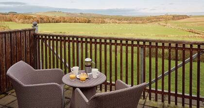 Duplex Apartment, Penrith