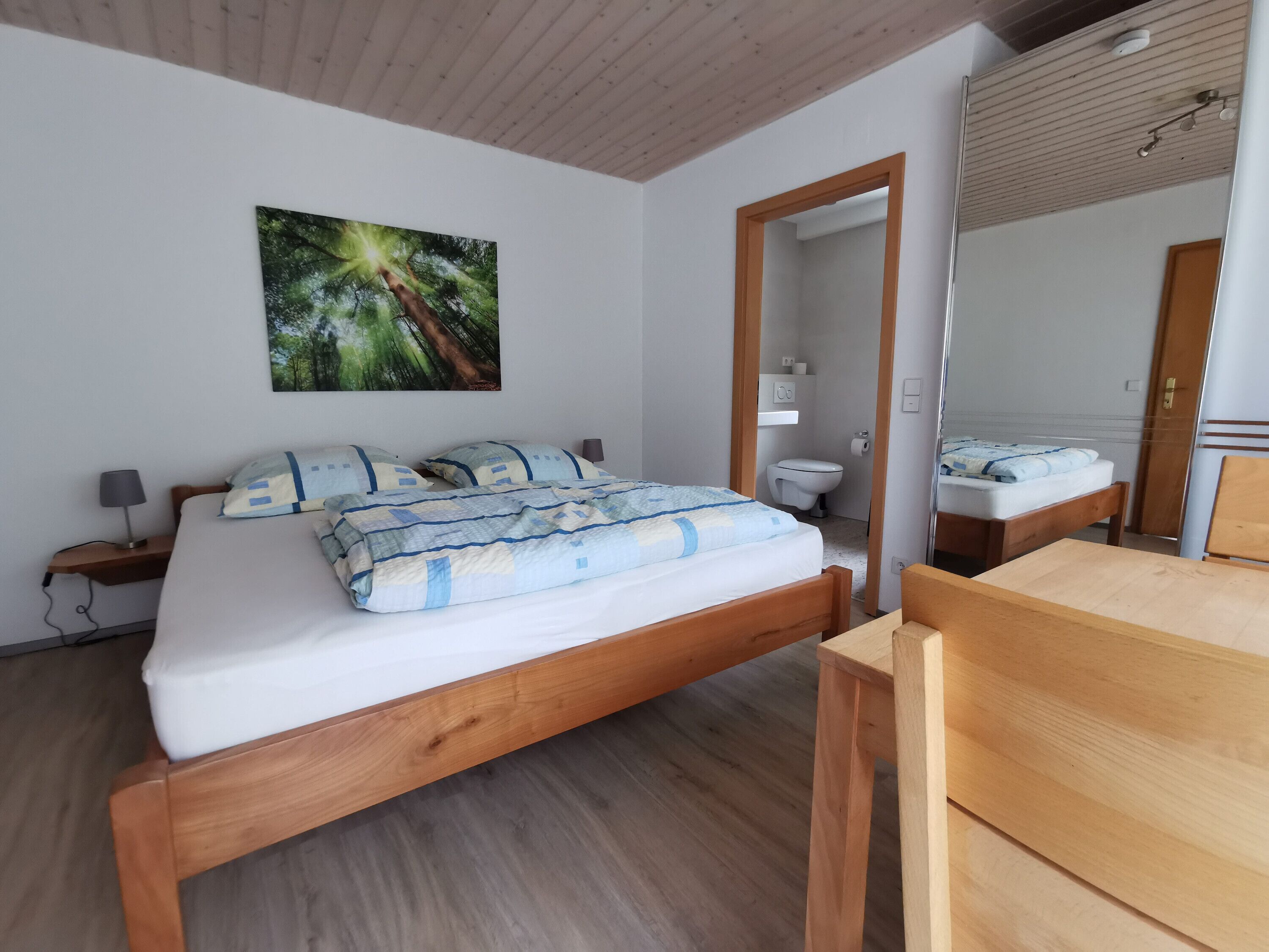 Iron/ironing board, WiFi, bed sheets