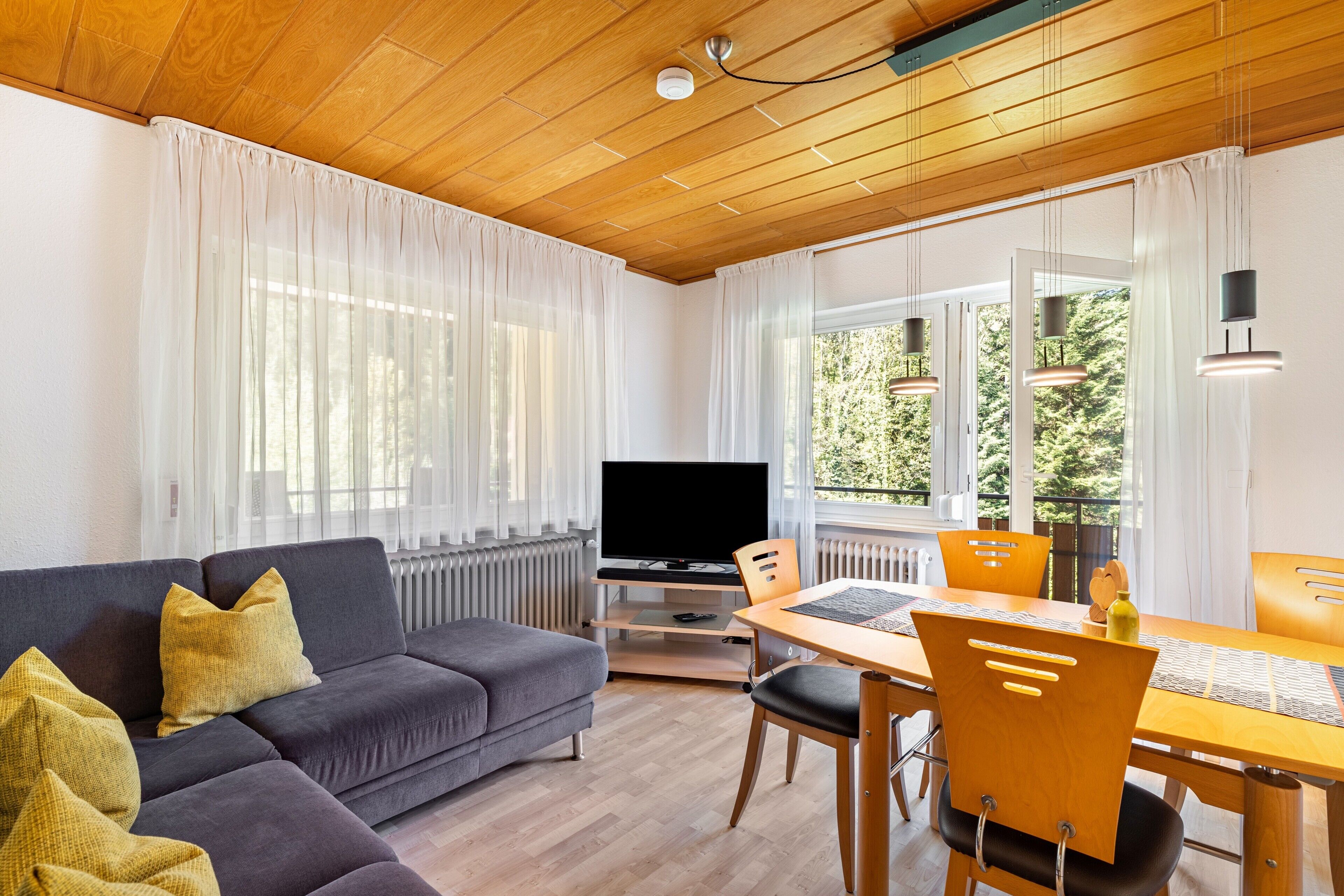 Televisión y tenis de mesa 